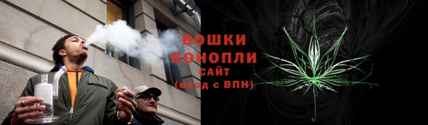 тгк Богородск