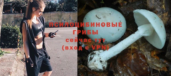 тгк Богородск
