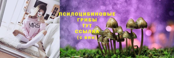 MDMA Premium VHQ Богородицк